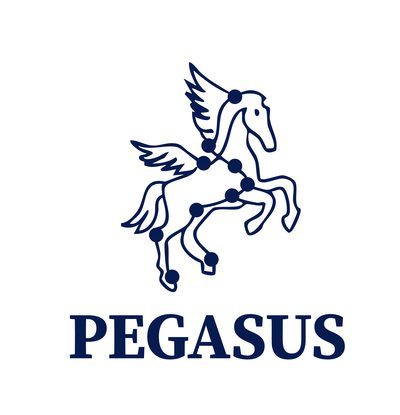 Pegasus constellation